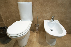 Separate bidet