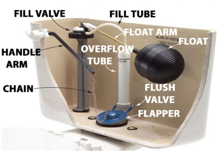 Inner Components of a Toilet