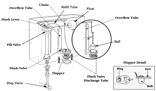 Parts Of A Toilet