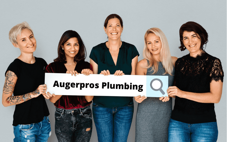 Critters That Can Crawl Up Your Toilet( And how to stop them!) - Auger Pros  Plumbing and Drain