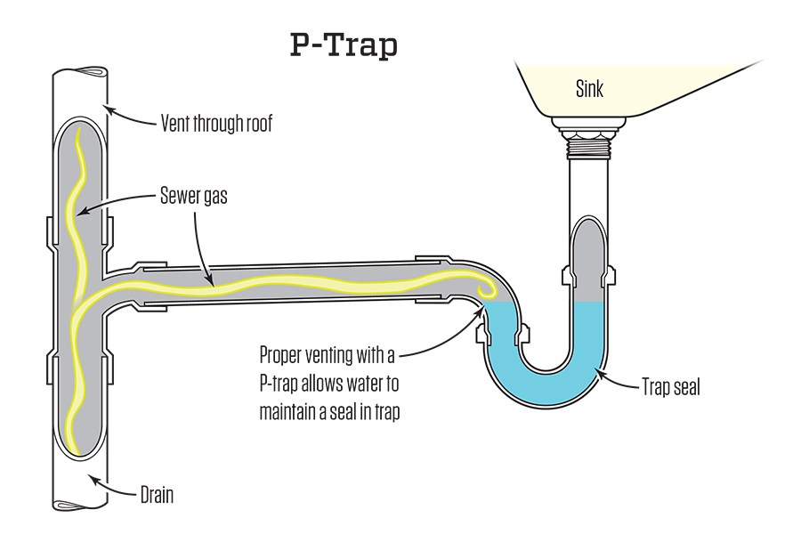 https://b2252302.smushcdn.com/2252302/wp-content/uploads/2022/07/p-trap.jpg?lossy=0&strip=1&webp=1